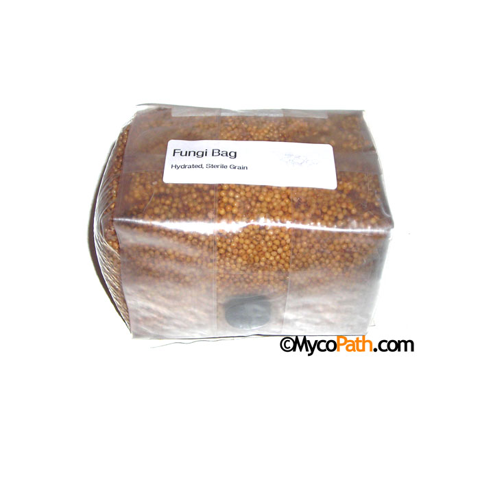 Millet Fungi Bag�
