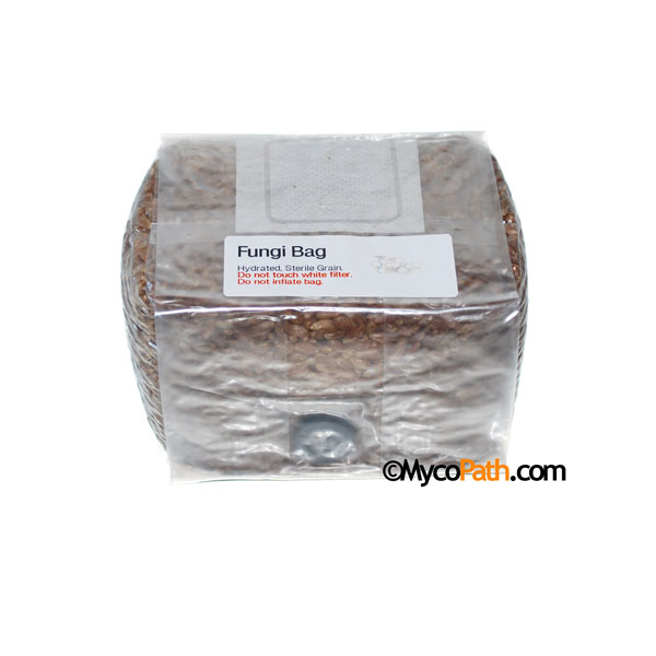 Rye Fungi Bags™