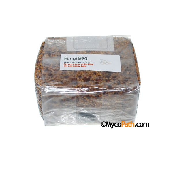Sterilized Wild Bird Seed Fungi Bag�, 1lb