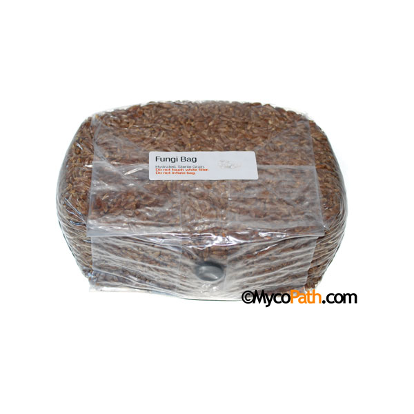 Sterilized Rye Fungi Bag, 2lb