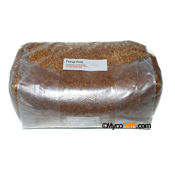 Sterilized Millet Fungi Bag, 4lb