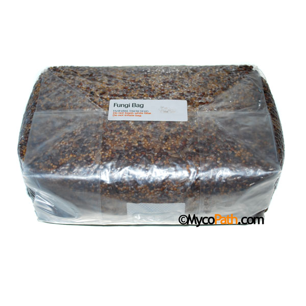Sterilized Wild Bird Seed Fungi Bag, 4lb