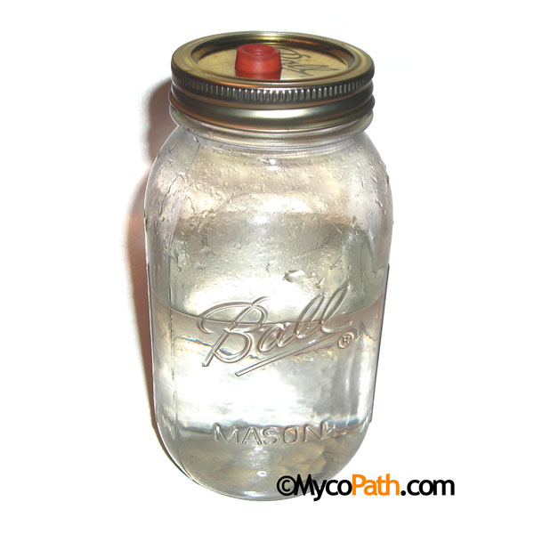 Liquid Culture Jar - Karo, 250ml Liquid Culture Jar - Karo, 250ml