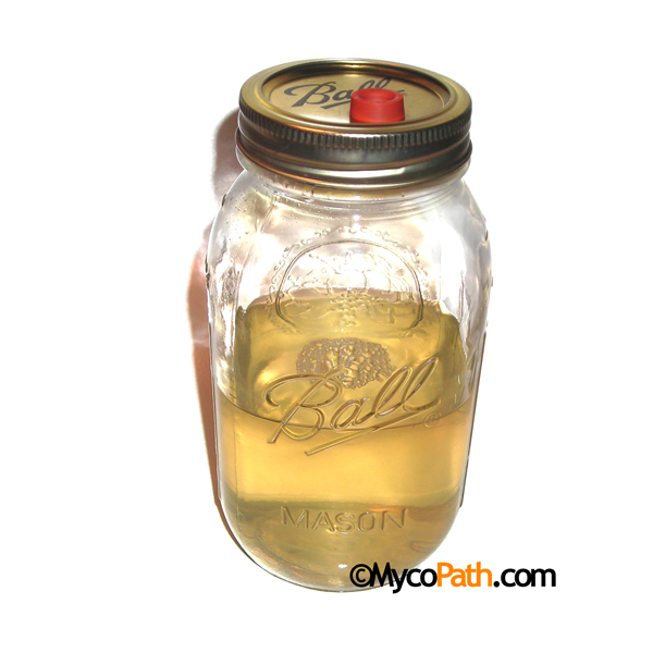 Liquid Culture Jar - Light Malt Extract/Dextrose, 250ml Liquid Culture Jar - Light Malt Extract/Dextrose, 250ml