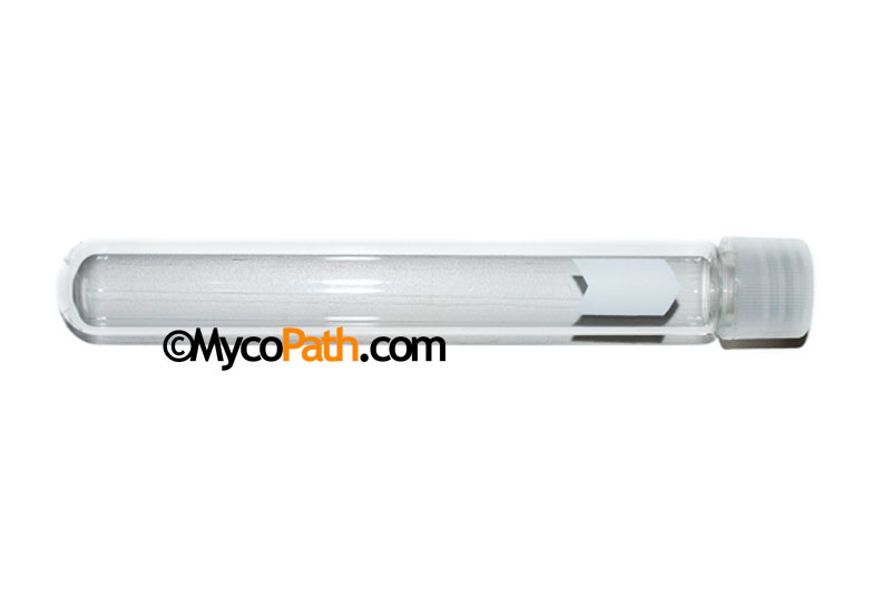 Borosilicate Glass Culture Tubes with Screw Cap 20 x 125mm