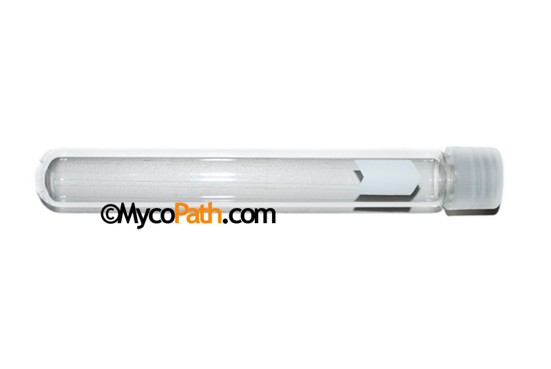 Borosilicate Glass Culture Tubes with Screw Cap 20 x 150mm