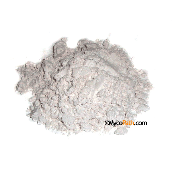 Gypsum - Calcium Sulfate Pharmaceutical Grade Food Grade - 1 lb - Click Image to Close