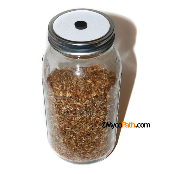 Sterile 1/2 Gallon Rye Grain Jar - Click Image to Close