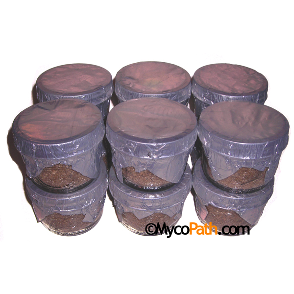 Sterile 1/2 Pint PF Style Jars (12), PF Jars