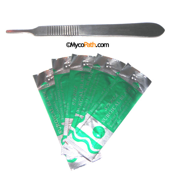 Surgical Steel Scalpel #3 with 4 Blades